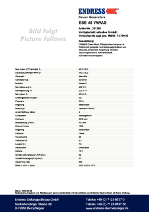 Diesel Generatoren Endress ESE 45 YW/AS 