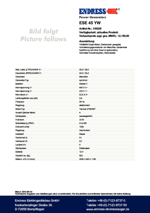Diesel Generatoren Endress ESE 45 YW 
