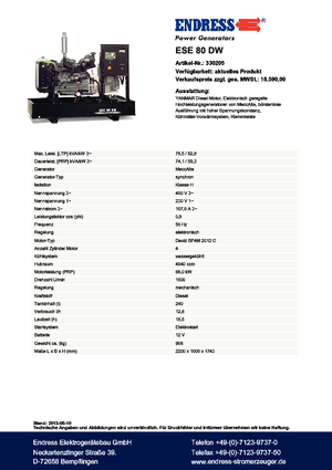 Diesel Generatoren Endress ESE 80 DW