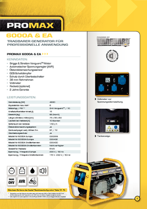 Diesel Generatoren Vanguard Promax 6000 A