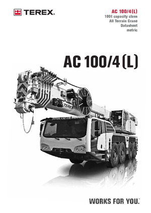 All-terrain kranen Terex-Demag AC 100/4 (8x6x8)