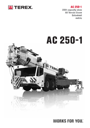 All-terrain kranen Terex-Demag AC 250-1 (12x8x10)