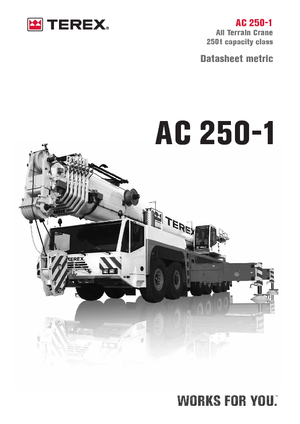 All-terrain kranen Terex-Demag AC 250-1 (12x8x10)