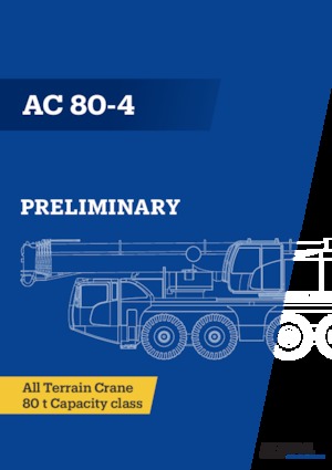All-terrain kranen Demag AC 80-4