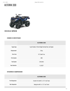 Terreinwagens & Quads Artic Cat ALTERRA 300
