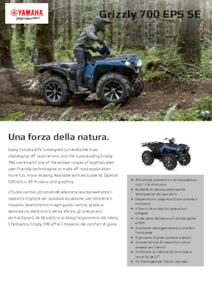 Terreinwagens & Quads Yamaha GRIZZLY 700 EPS SE
