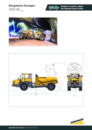 Kiepwagens Bergmann 5025HK Plus