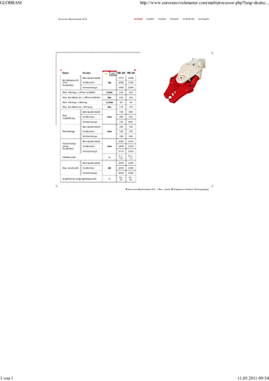 Multiprocessors Globram RM330
