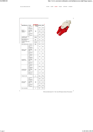 Multiprocessors Globram RM330
