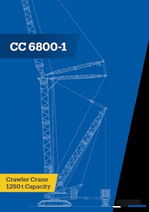 Rupskranen - Traliearm Demag CC 6800-1