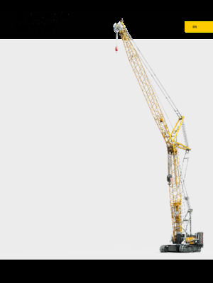 Rupskranen - Traliearm Liebherr LR 1110 