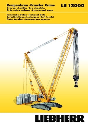 Rupskranen - Traliearm Liebherr LR 13000