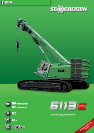 Rupskranen - Telescooparm Sennebogen 6113 R
