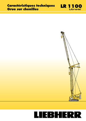 Rupskranen - Traliearm Liebherr LR 1100
