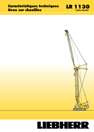 Rupskranen - Traliearm Liebherr LR 1110