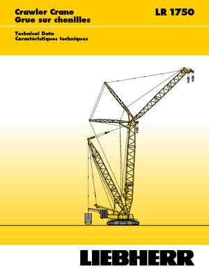Rupskranen - Traliearm Liebherr LR 1750