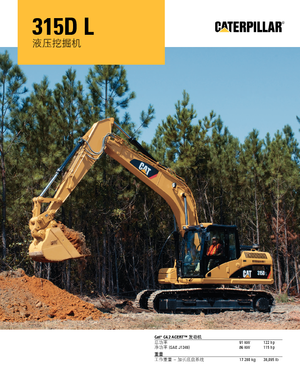 Rupsgraafmachines Caterpillar 315D L