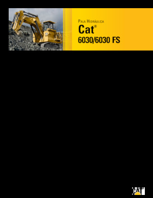 Rupsgraafmachines Caterpillar 6030 FS