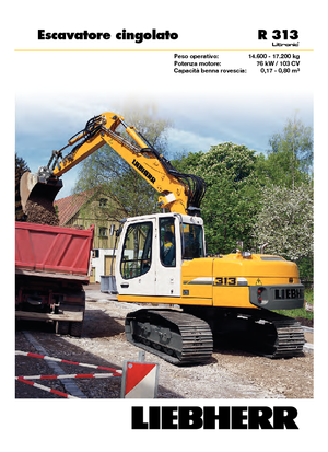 Rupsgraafmachines Liebherr R 313 Litronic