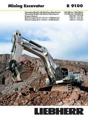 Rupsgraafmachines Liebherr R 9100