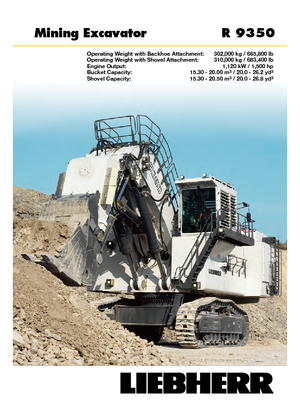 Rupsgraafmachines Liebherr R 9350 