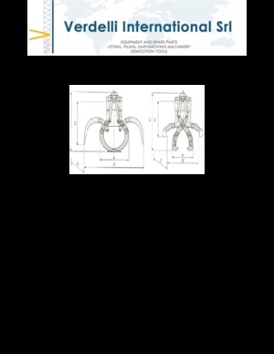 Sloopsorteergrijpers Verdelli F.E.E. /25
