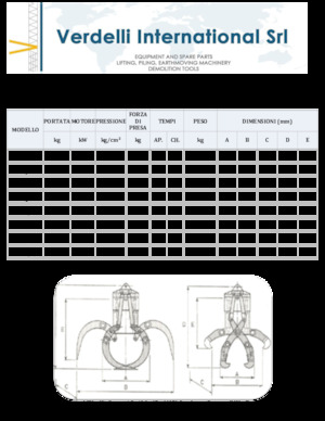 Sloopsorteergrijpers Verdelli F.E.E. /25