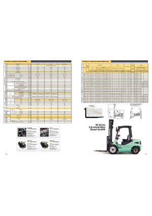 Dieselheftrucks Maximal FD 30 T-M2WB3