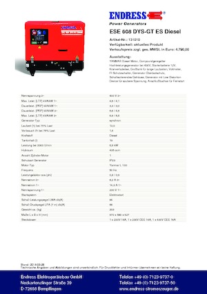 Benzine Generatoren Endress ESE 608 DYS-GT ES DI