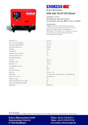 Benzine Generatoren Endress ESE 608 YS-GT ES DI