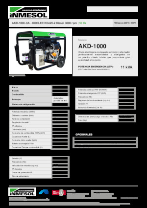 Diesel Generatoren INMESOL AKD-1000-CA