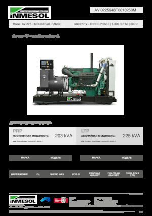 Diesel Generatoren INMESOL AV-225