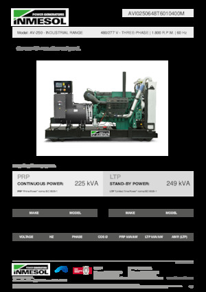 Diesel Generatoren INMESOL AV-250