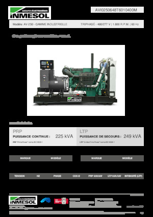 Diesel Generatoren INMESOL AV-250