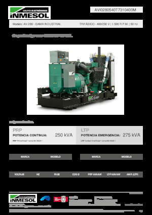 Diesel Generatoren INMESOL AV-280