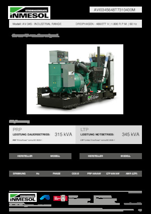 Diesel Generatoren INMESOL AV-345