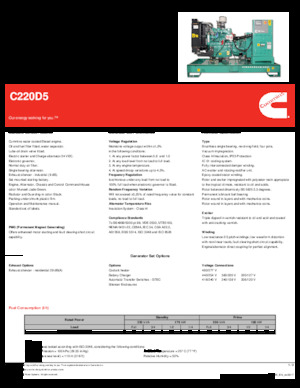 Diesel Generatoren Cummins C220D5