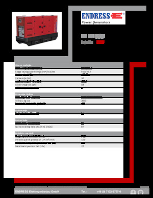Diesel Generatoren Endress ESE 100 IW/RS