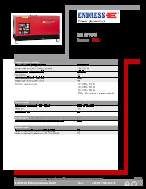 Diesel Generatoren Endress ESE 15 YW-B