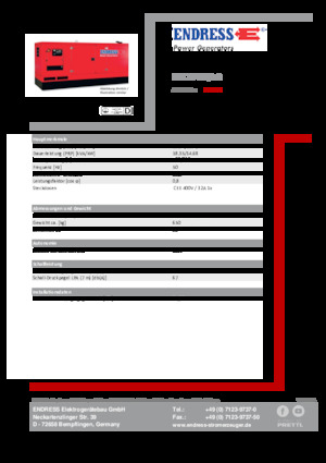 Diesel Generatoren Endress ESE 20 YW/AS 