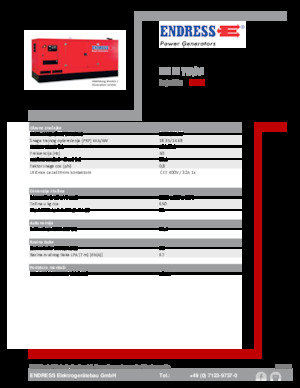 Diesel Generatoren Endress ESE 20 YW/AS 