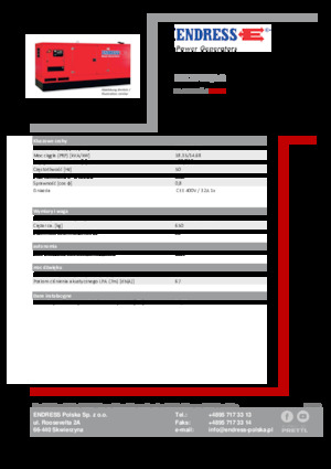 Diesel Generatoren Endress ESE 20 YW/AS 