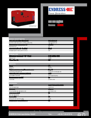 Diesel Generatoren Endress ESE 200 IW/MS