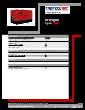 Diesel Generatoren Endress ESE 35 YW/MS