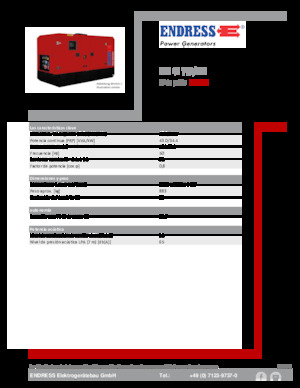 Diesel Generatoren Endress ESE 45 YW/MS