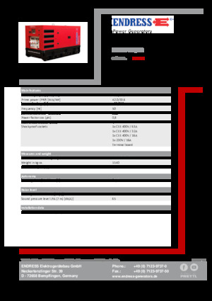 Diesel Generatoren Endress ESE 45 YW/RS
