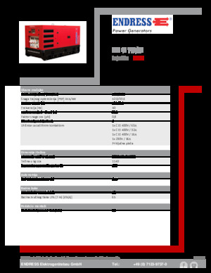 Diesel Generatoren Endress ESE 45 YW/RS