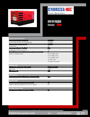 Diesel Generatoren Endress ESE 45 YW/RS