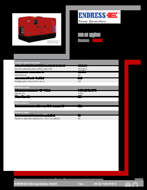 Diesel Generatoren Endress ESE 60 IW/MS
