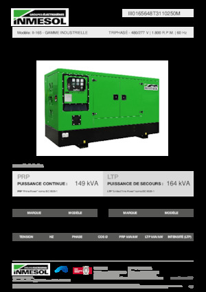 Diesel Generatoren INMESOL II-165